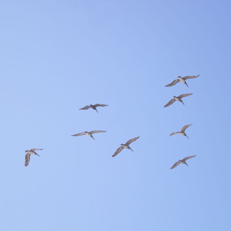 Desplazarse con algo de poética | Notas sobre un extraño&nbsp;mar