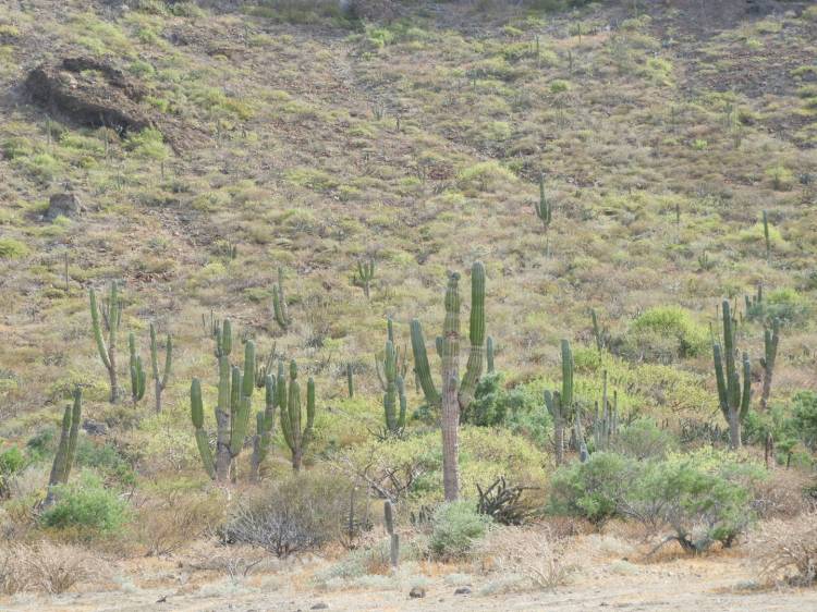 Extraño Cotidiano | Finisterrae&nbsp;III