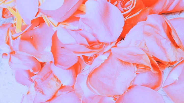 Desplazarse con algo de poética |&nbsp;ATENTADO