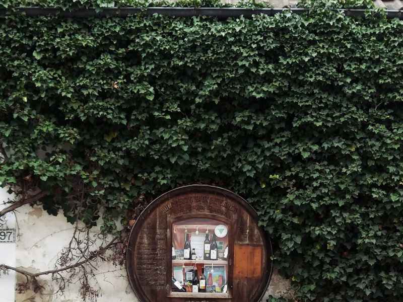 Letras Revueltas|Desterradas