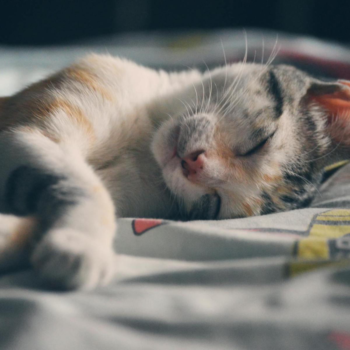 Cartografías del Instante| Estar&nbsp;Triste