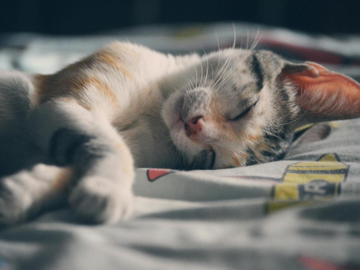 Cartografías del Instante| Estar&nbsp;Triste