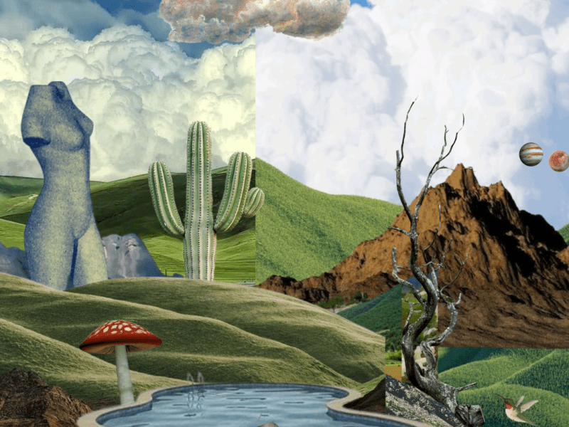 Versátil  : La libertad de&nbsp;pensar