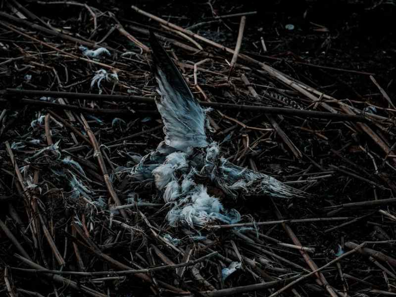 Cartografías del Instante| Un lugar para&nbsp;morir