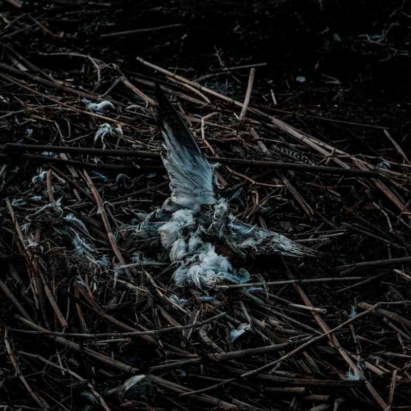 Cartografías del Instante| Un lugar para&nbsp;morir