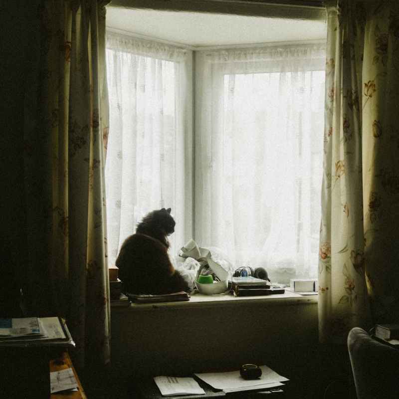 Colaboraciones |Mindy