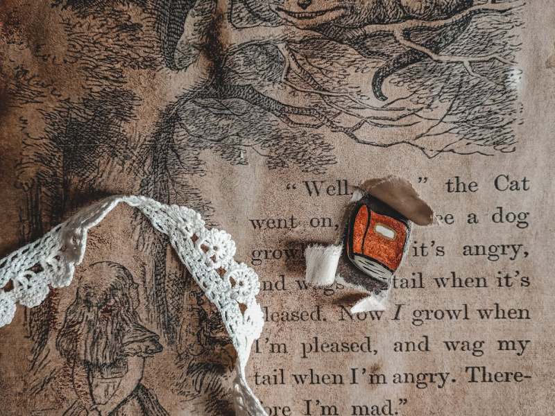 Colaboraciones| En todas las vidas hasta el último&nbsp;aliento.