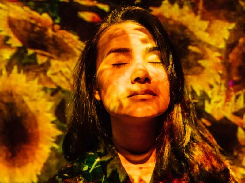 Cartografías del Instante| Sueños y&nbsp;girasoles