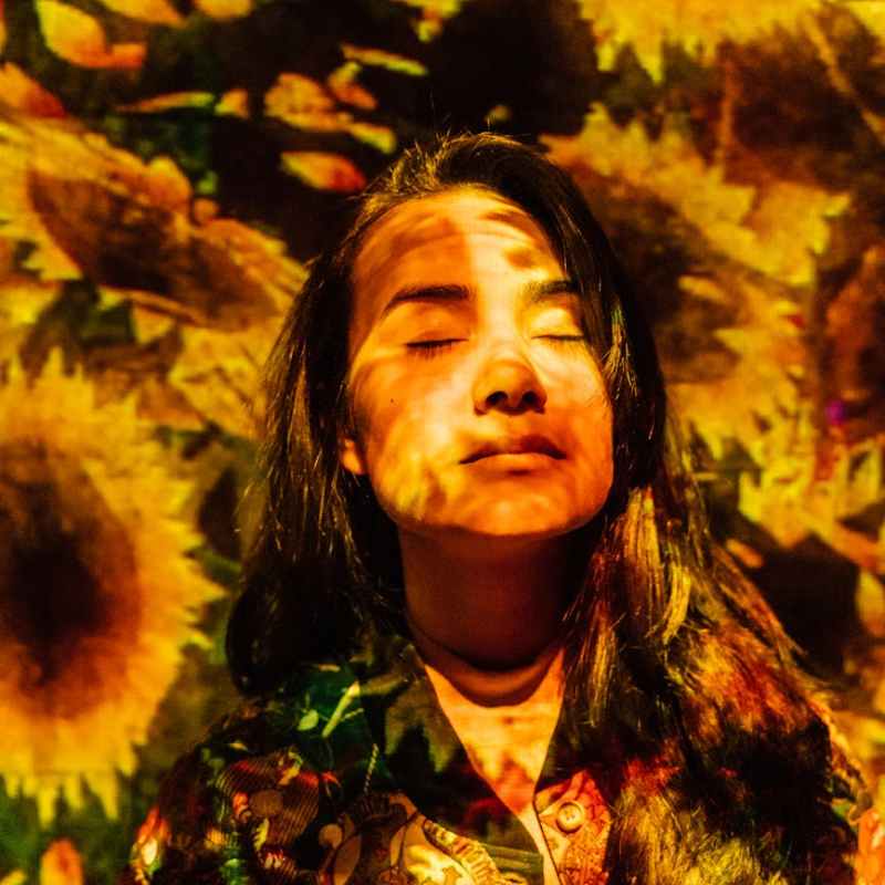 Cartografías del Instante| Sueños y&nbsp;girasoles