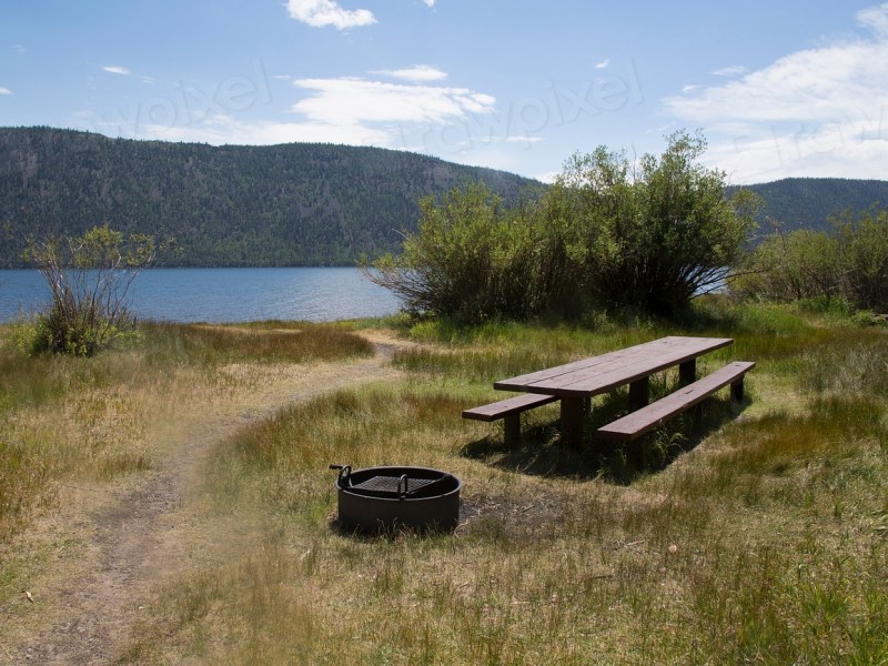 Los árboles y las pantallas que me rodean | De un paseo al terror&nbsp;poético