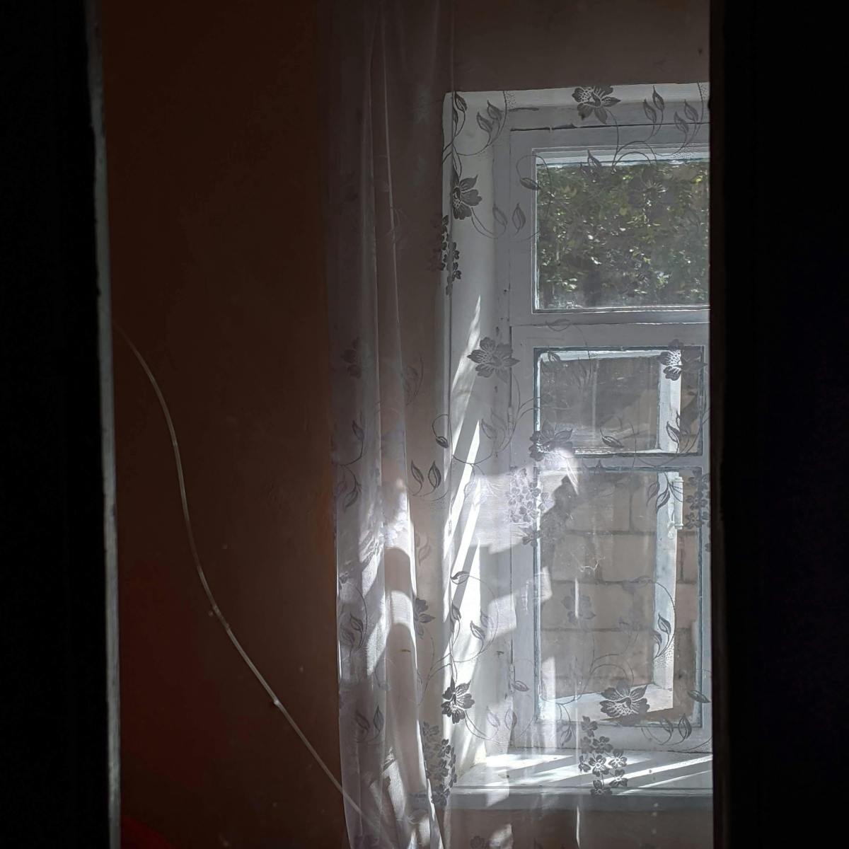 La anatomía del cristal y la&nbsp;rabia