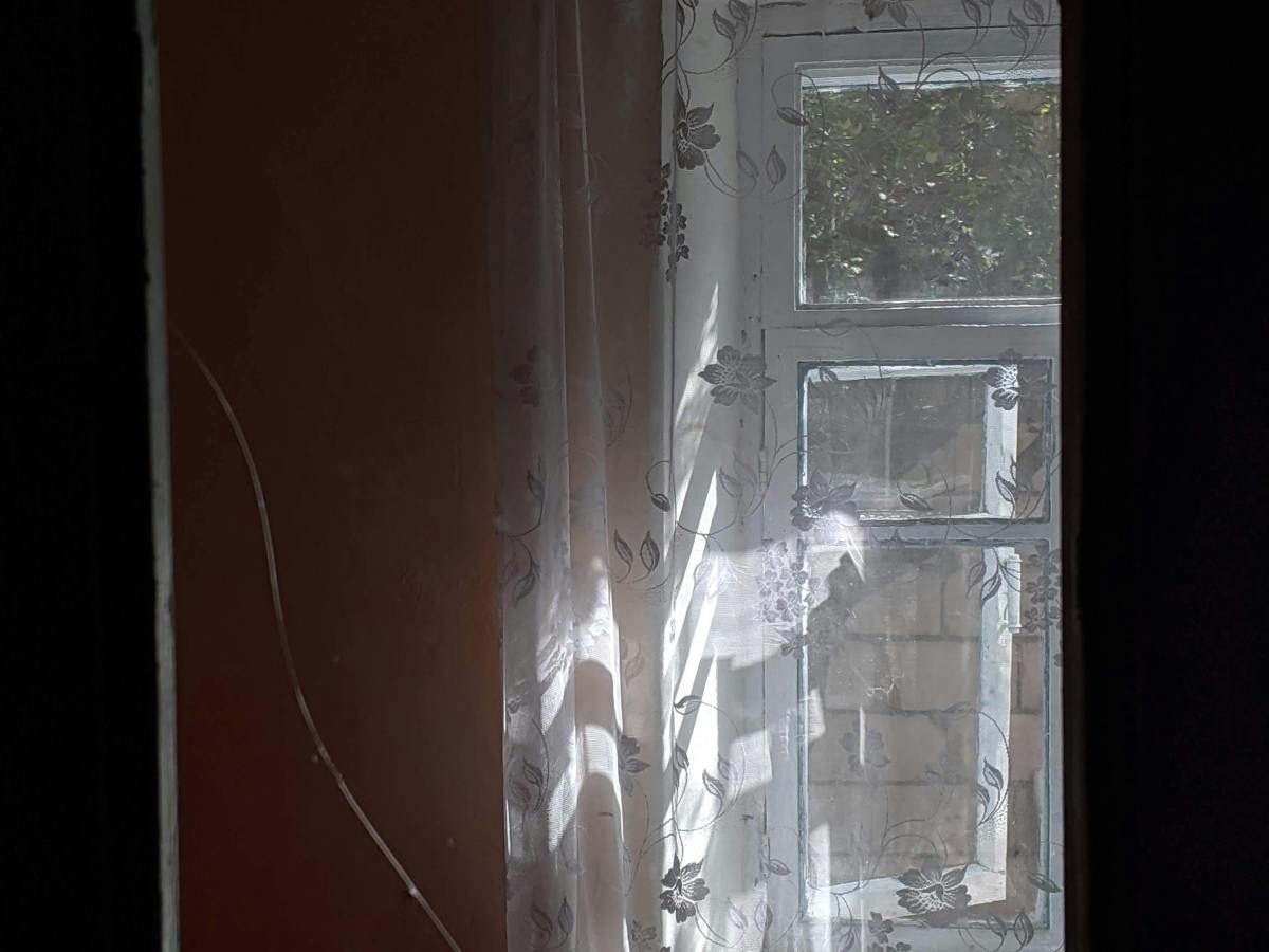 La anatomía del cristal y la&nbsp;rabia