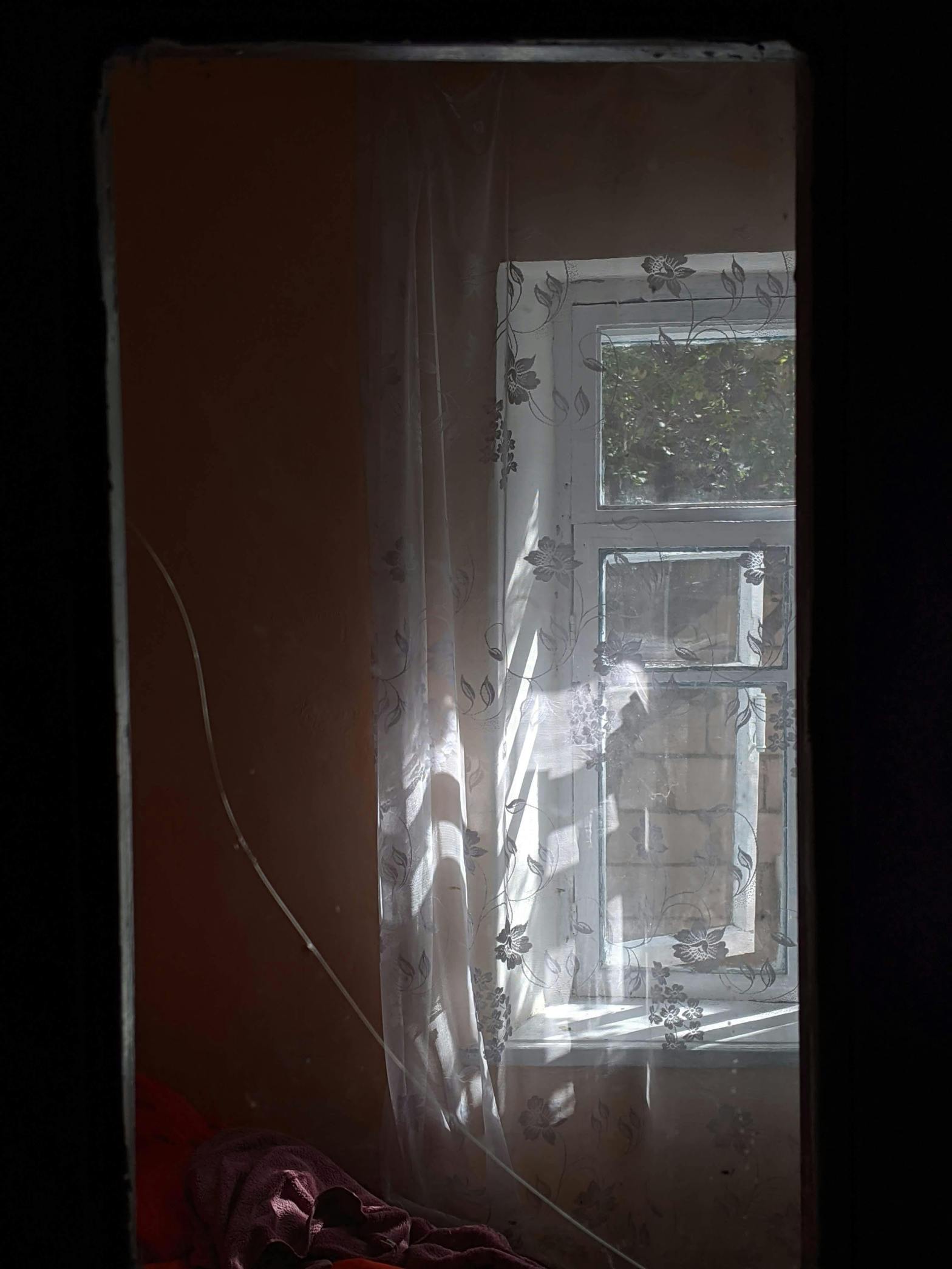 La anatomía del cristal y la&nbsp;rabia