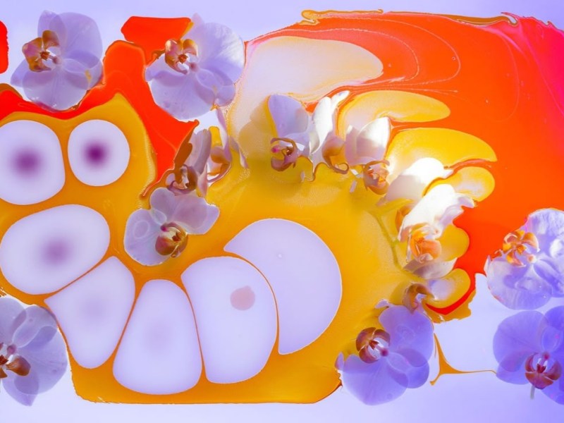 Chiapas: la deuda sigue abierta.&nbsp;|8M