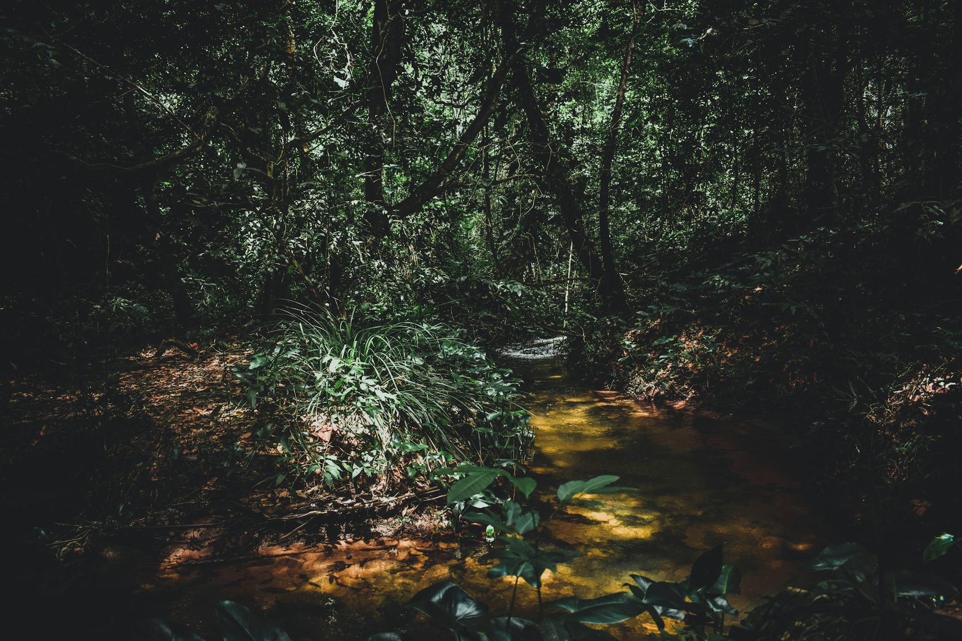 Sorry! Image not available at this time